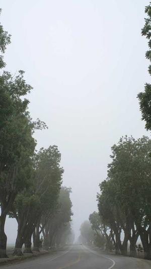 冒险岛挂机3天200级截图3