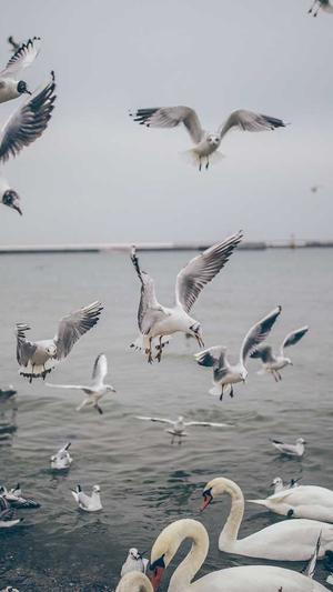 传奇3截图2